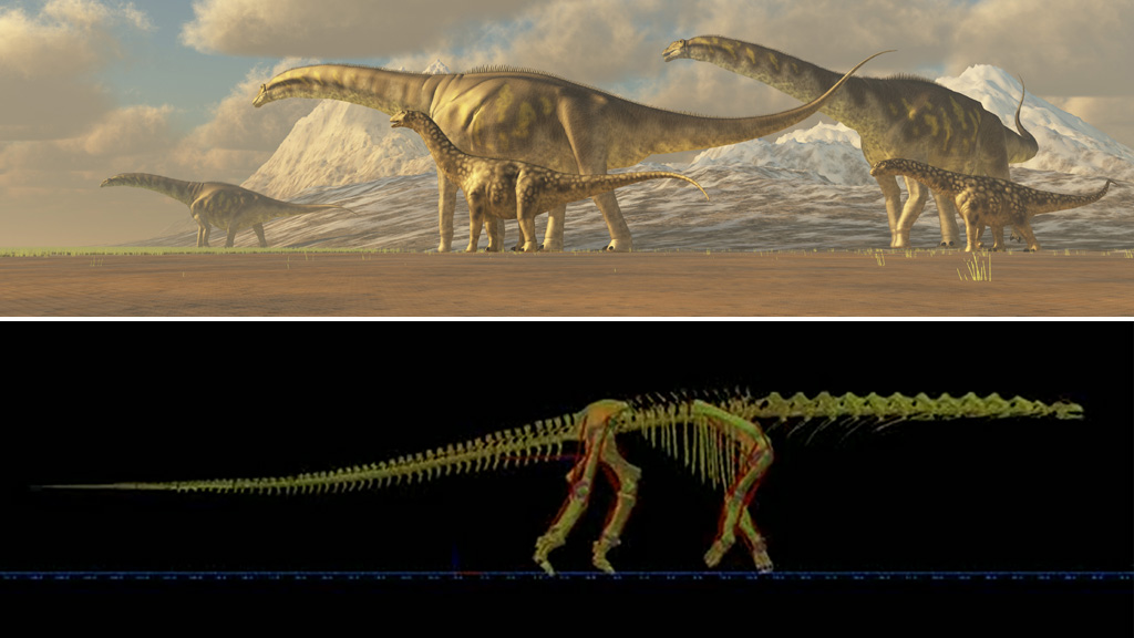 Walking with the largest dinosaur to have ever lived – Channel 4 News