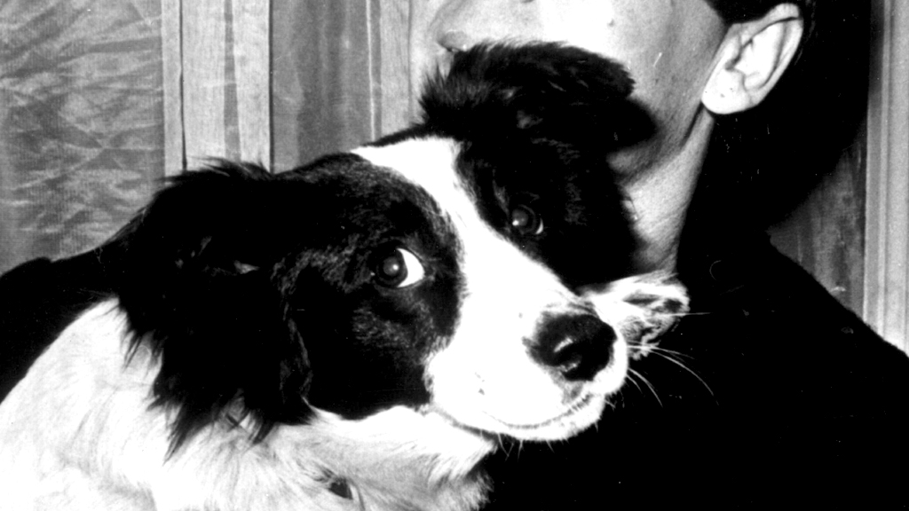 How Pickles the dog saved England’s World Cup (1966) Channel 4 News